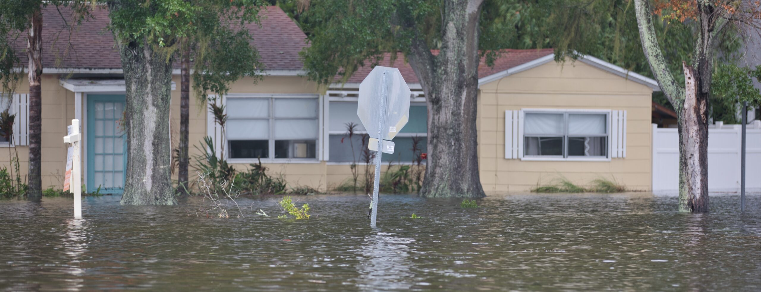 Flood zone c
