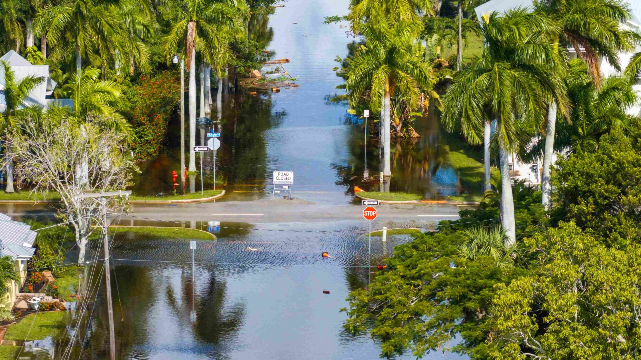 Flood zone ao