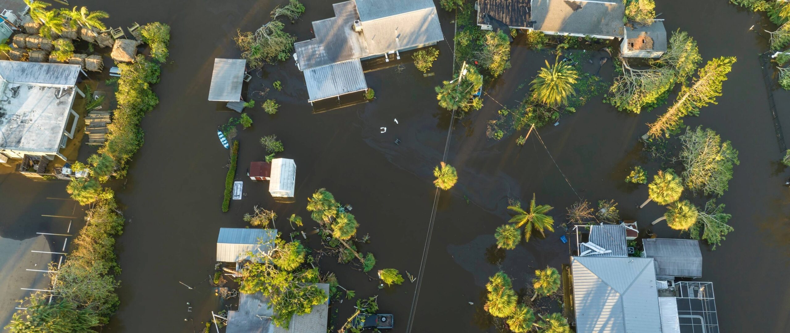 100 year flood plain